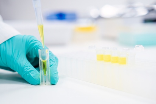 [RW2-736597.100] VP 125/10 NUCLEOGEN 60-7 DEAE (1xPK)